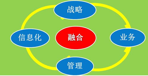 數(shù)字化轉(zhuǎn)型與企業(yè)核心能力重構(gòu)——以中國(guó)中鋼集團(tuán)公司為例的啟示